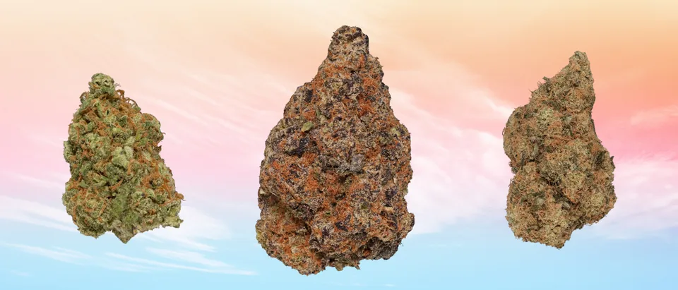 Three Best Buds flower nugs photographed against a pastel sunset gradient