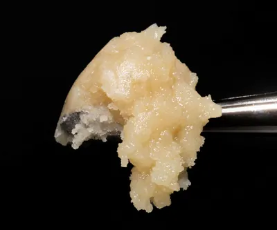 Live rosin close-up on a dab tool